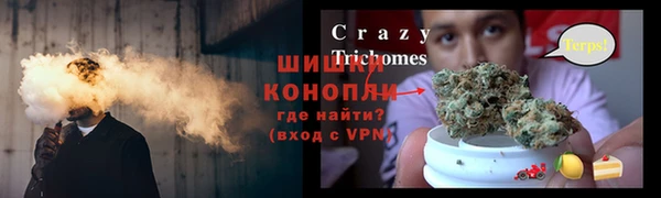 ПСИЛОЦИБИНОВЫЕ ГРИБЫ Балабаново