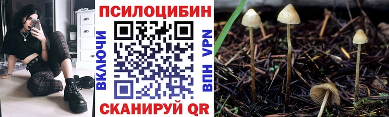 где купить наркоту  Емва  Псилоцибиновые грибы мицелий 